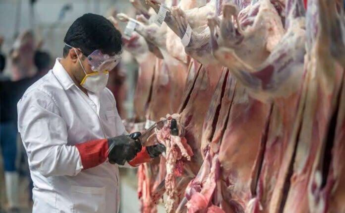 ذبح دام همزمان با عید قربان بیش از ۱۶۰۰ راس دام همزمان با عید قربان با نظارت دامپزشکی آذربایجانغربی ذبح شد