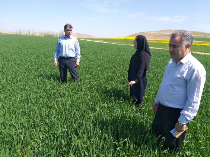 بالا بردن مشارکت مردم در حوزه‌های امور اراضی ضروری است