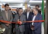 جام زرین حسنلو نقده در موزه ارومیه رونمایی شد جام زرین حسنلو نقده در موزه ارومیه رونمایی شد