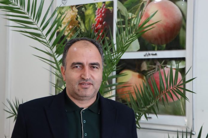 سالانه بیش از ۹ میلیون اصله پایه و نهال بذری و رویشی در آذربایجان غربی تولید می شود