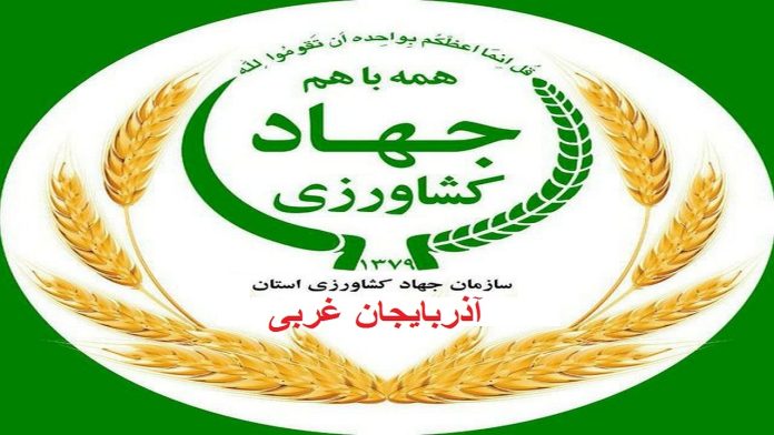 چغندرقند قربانی نادرست‌ترین قضاوت‌ها