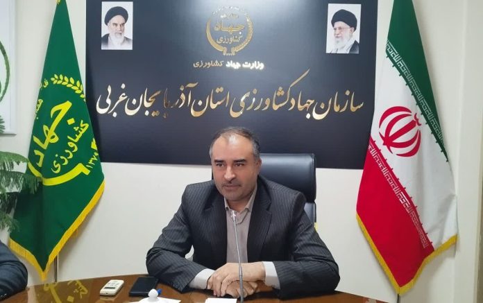 افزایش ۵۱ درصدی جوجه‌ریزی واحدهای مرغداری در آذربایجان‌غربی