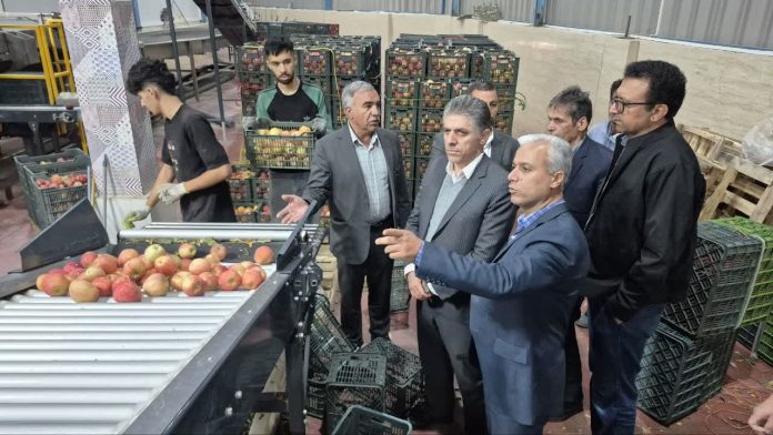 سفر هیات بازرگانی کرمانشاه به آذربایجان‌غربی برای تأمین سیب شب عید
